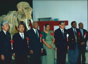 スリランカ政府寄贈 アジア象の骨格標本　千葉市動物園内